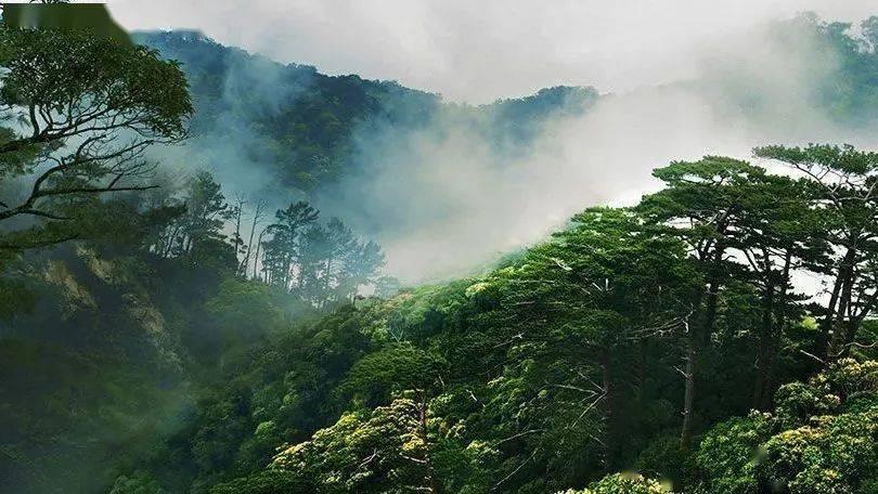 杜甫的中宵全诗译文是什么?红迪网 - 分享新鲜事,发现兴趣圈